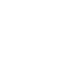 DSV